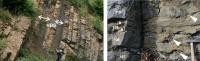 Rock layers marking the transition from the Devonian to the Carboniferous geological periods