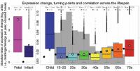 Expression Change, Turning Points, and Correlation Across the Lifespan