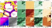 MICROSCOPY -- Biomass Close-up