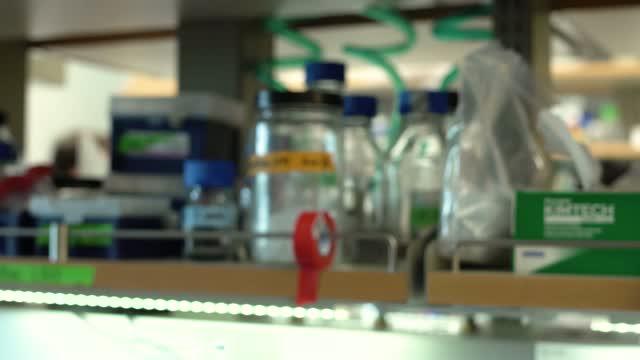 Nano-Engineered Quantum Dots Fight Back against Superbugs