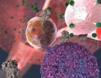 Bionanoparticle Detects the Slightest Sign of Transplant Organ Rejection
