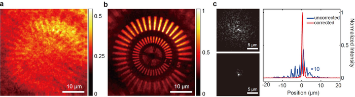 [Figure 2]