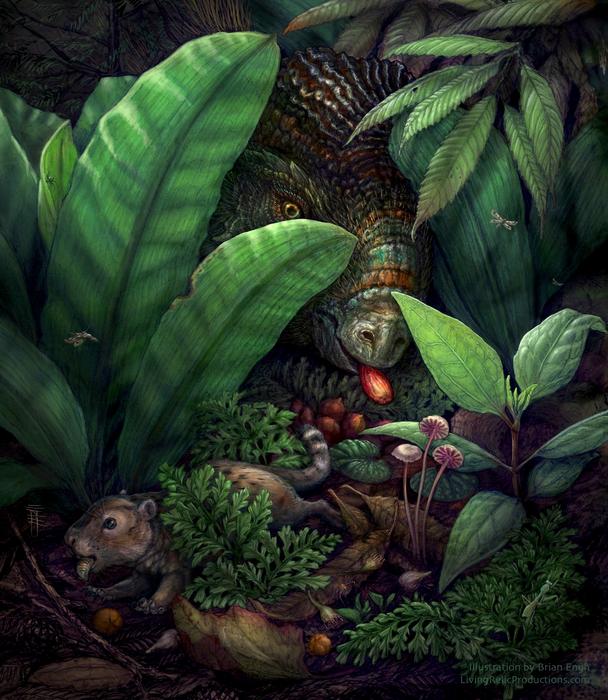 Reconstruction of a 75-million-year-old forest floor
