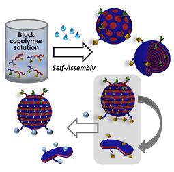 Figure 1. Schematic Illustration of the Work