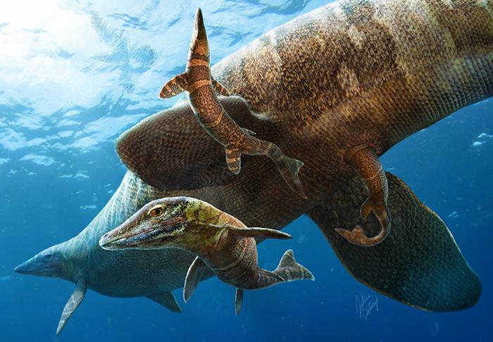 Mosasaurs