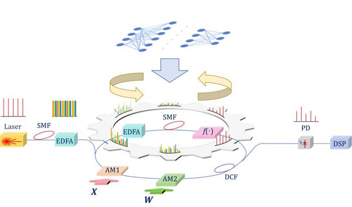 A schematic diagram of the fiber neural network structure, showing the laser, modulators, fiber loop, amplifier, and detector, with signal waveforms at various stages