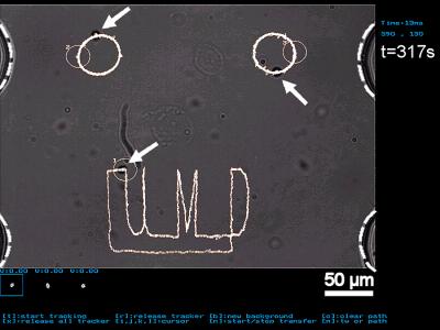 Manipulating Cells on a Chip