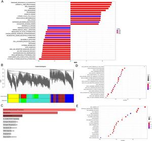 Potential signal pathway analysis by RNA sequencing and online databases.