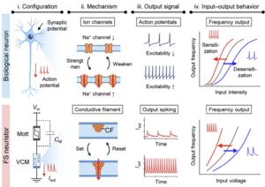 KAIST Develops Semiconductor Neuron that Remembers and Responds Like the Brain​