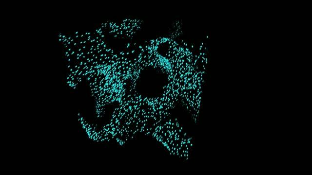 Macrophages on Ceramic Scaffold