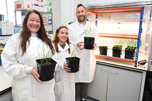 From l-r: Dr Angela Sherry, Dr Emma Riley, and Dr Ciaran Kelly, of Northumbria University