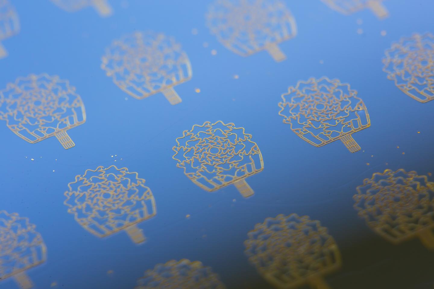 Sensors Sample