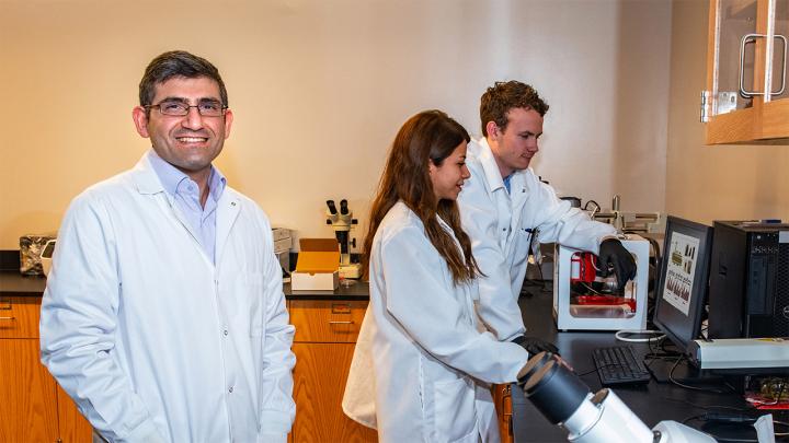 Stent Researchers