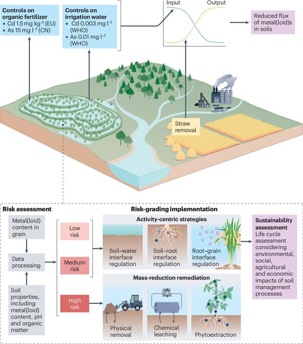 Rice management framework figure