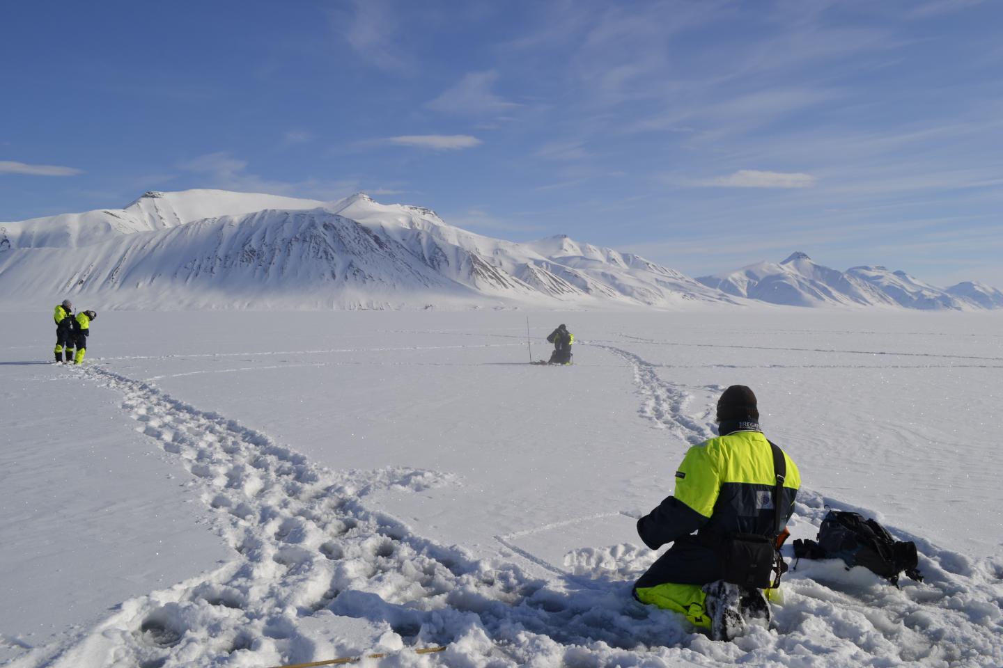 Collecting Spectral Reflectance Measurements