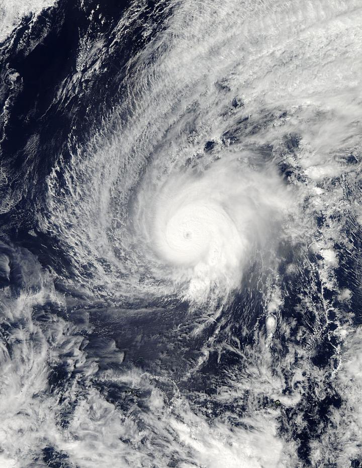 Aqua Image of Higos