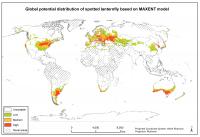Potential Global Distribution of Spotted Lanternfly