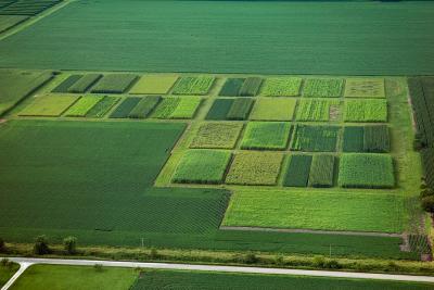 University of Illinois Energy Farm