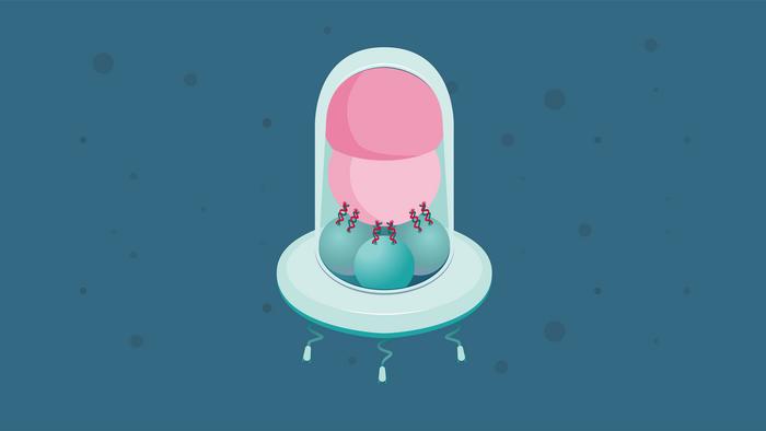 Illustration of the modular nanorobot