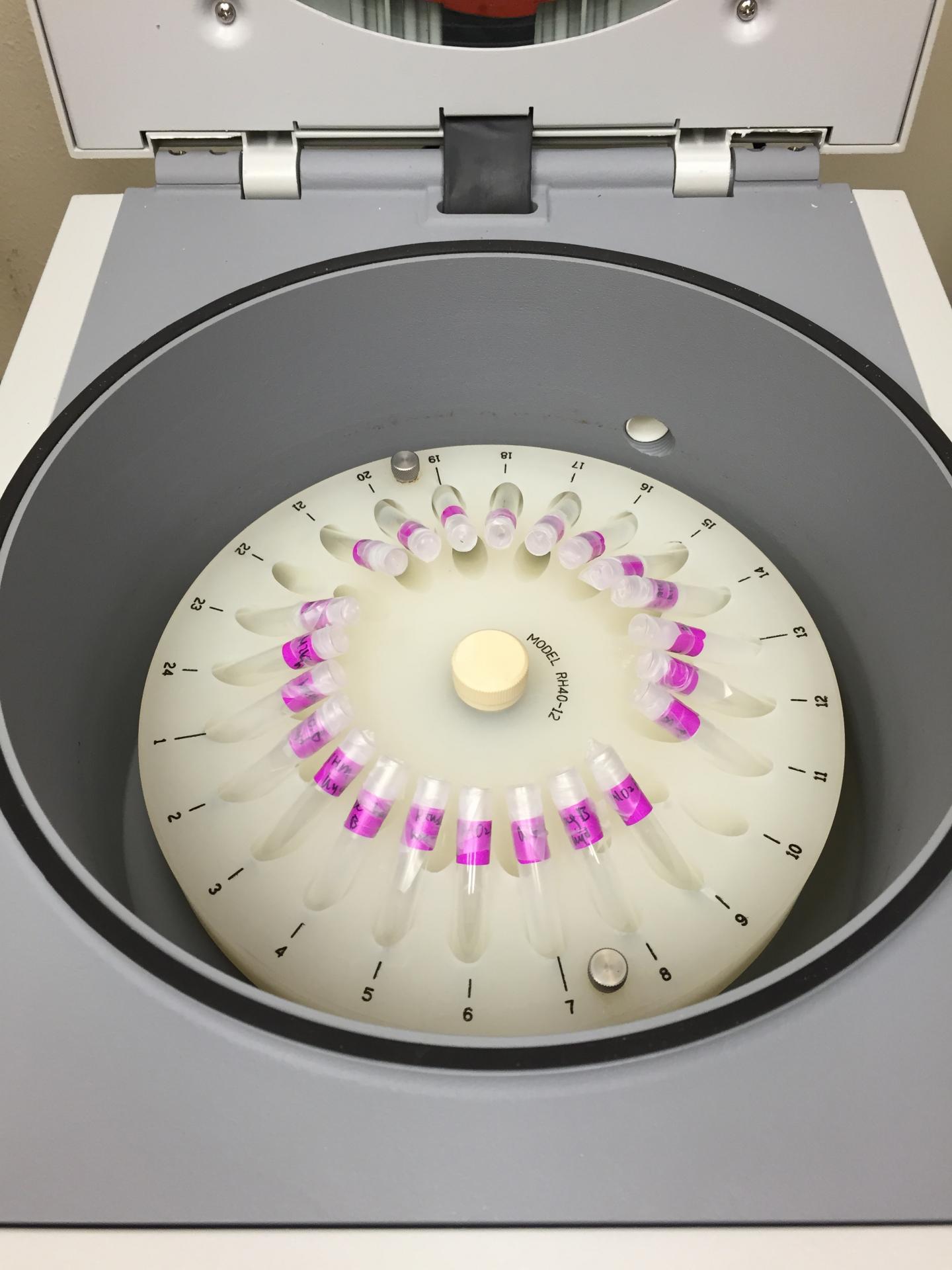 Organic Matter Found in Extraterrestrial Salt Crystals (8 of 10)