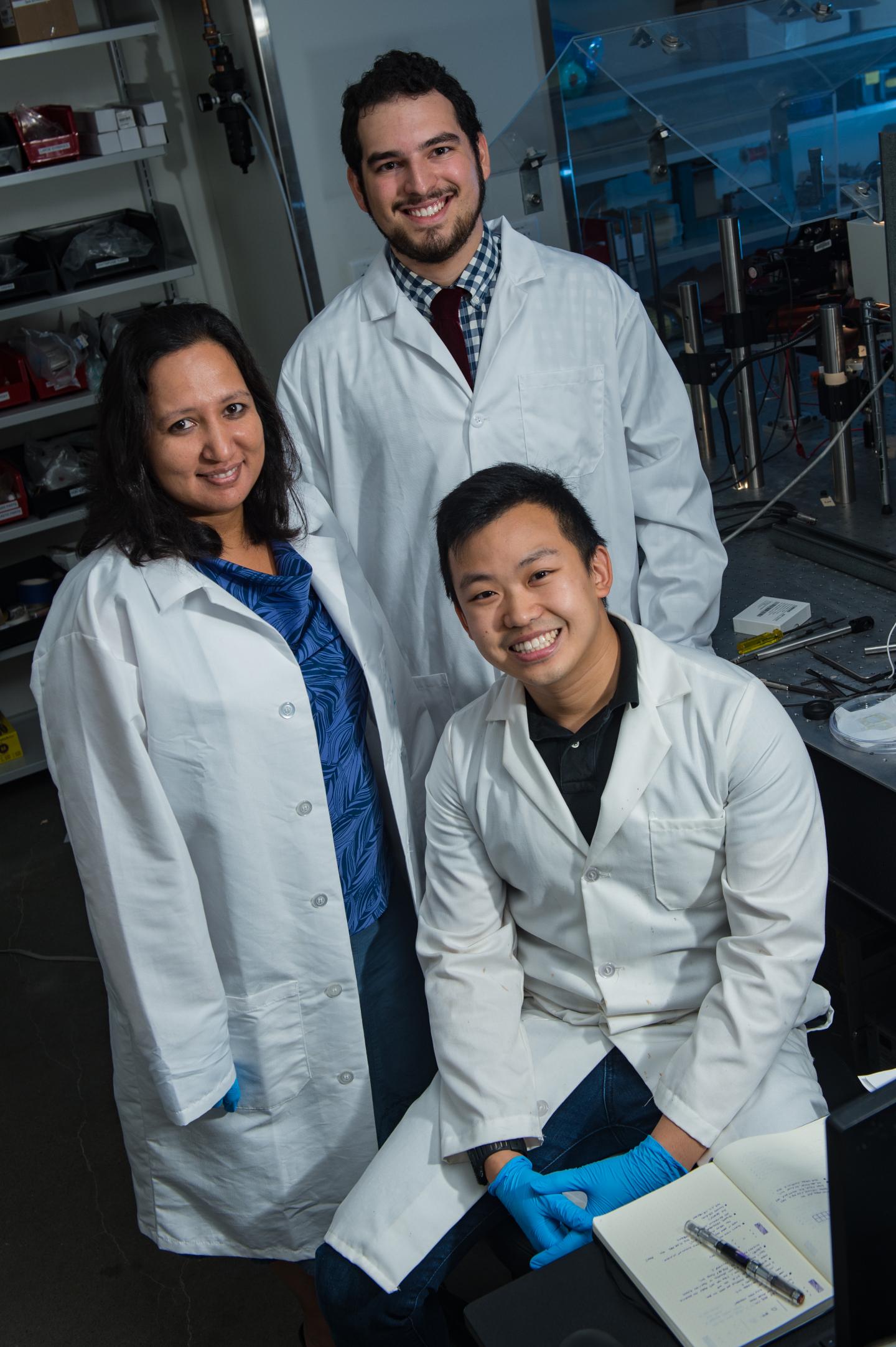 Rice University Researchers