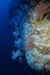 Pohnpei, Federated States of Micronesia at 130m