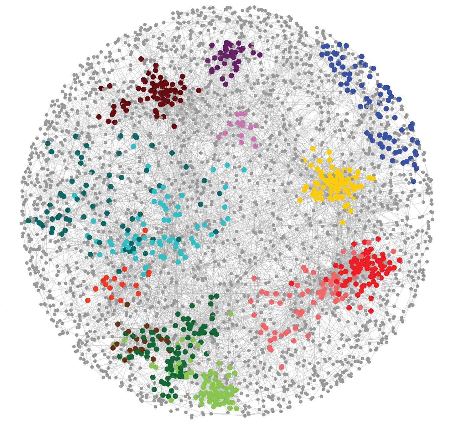 Genome Jenga Study Reveals Unexpected Gene Alliances in the Cell