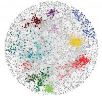 Genome Jenga Study Reveals Unexpected Gene Alliances in the Cell