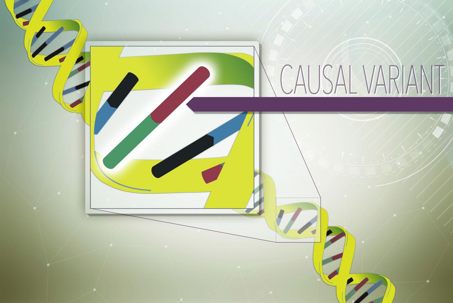 Causal Variant