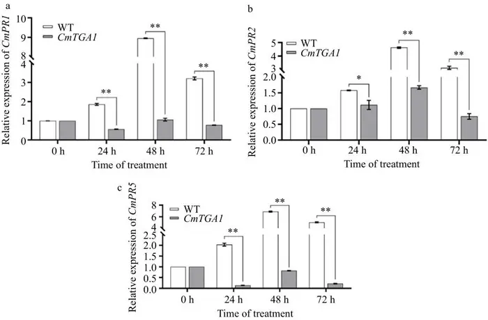 Fig.7