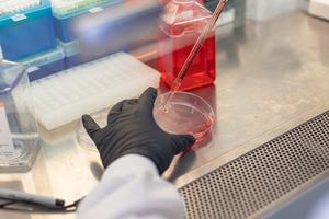 Dr. Bleris Lab