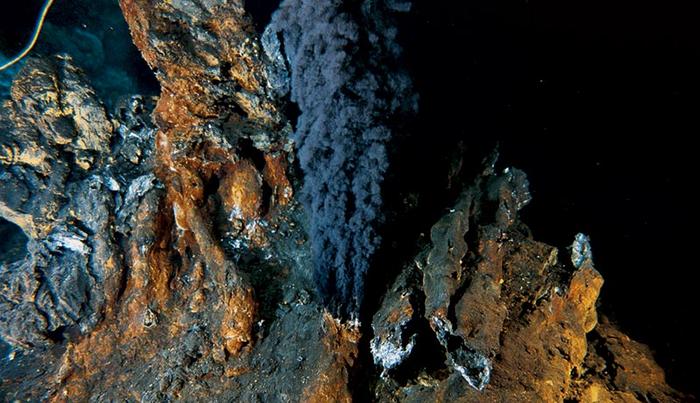 hydrothermal vents