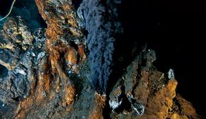 hydrothermal vents