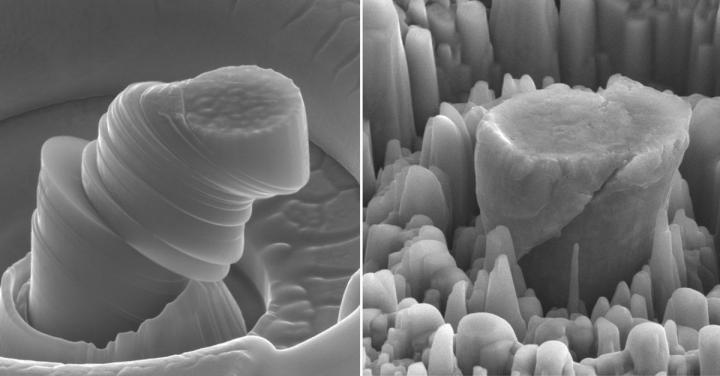 Magnesium Comparison