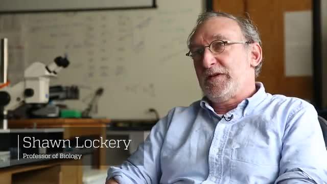 Shawn Lockery On Connection to Sleep