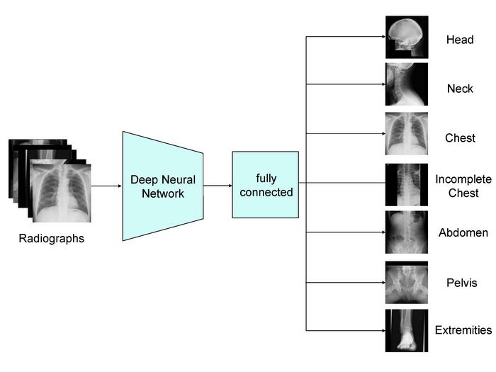 The Xp Bodypart Checker