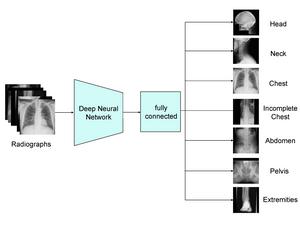 The Xp Bodypart Checker