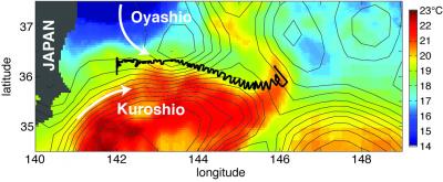 Kuroshi Oyashio Ship Track