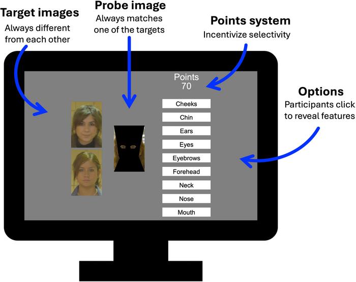Facial feature prioritization by forensic specialists