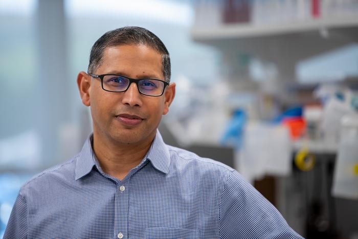 Pandurangan Vijayanand, M.D., Ph.D.