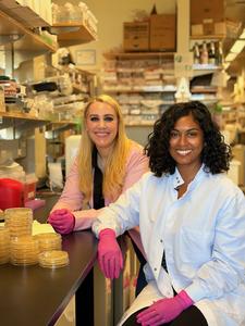 Ayres and Abeywardena