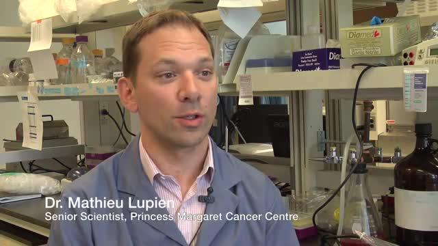 Mutation in Prostate Tumors Shown to Change Epigenetic Identity, the Make-up of DNA