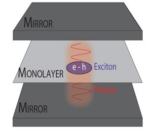 Exciton-polariton