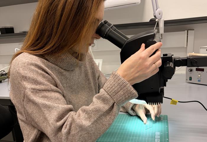 Magdalena Laskowska (IFJ PAN) examines a glass plate covered with a B-STING material.