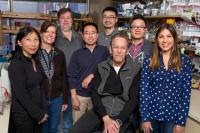Salk Institute -- Evans Lab -- ERRy Muscle Authors