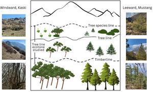 Scheme of the tree-line ecotones in the Annapurna range with photos of trees and forests on the windward side (Kaski) and the leeward side (Mustang).