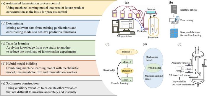Figure 4. Extension ideas of ML-based fermentation design and process optimization.