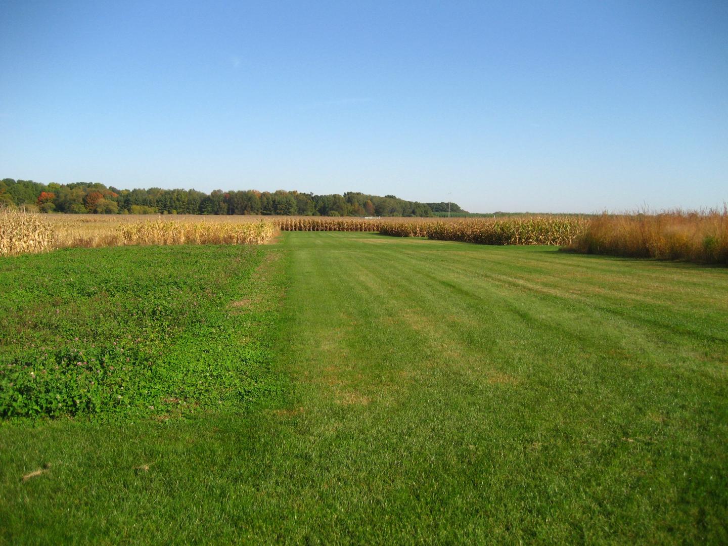 Site of Crop Rotation Project
