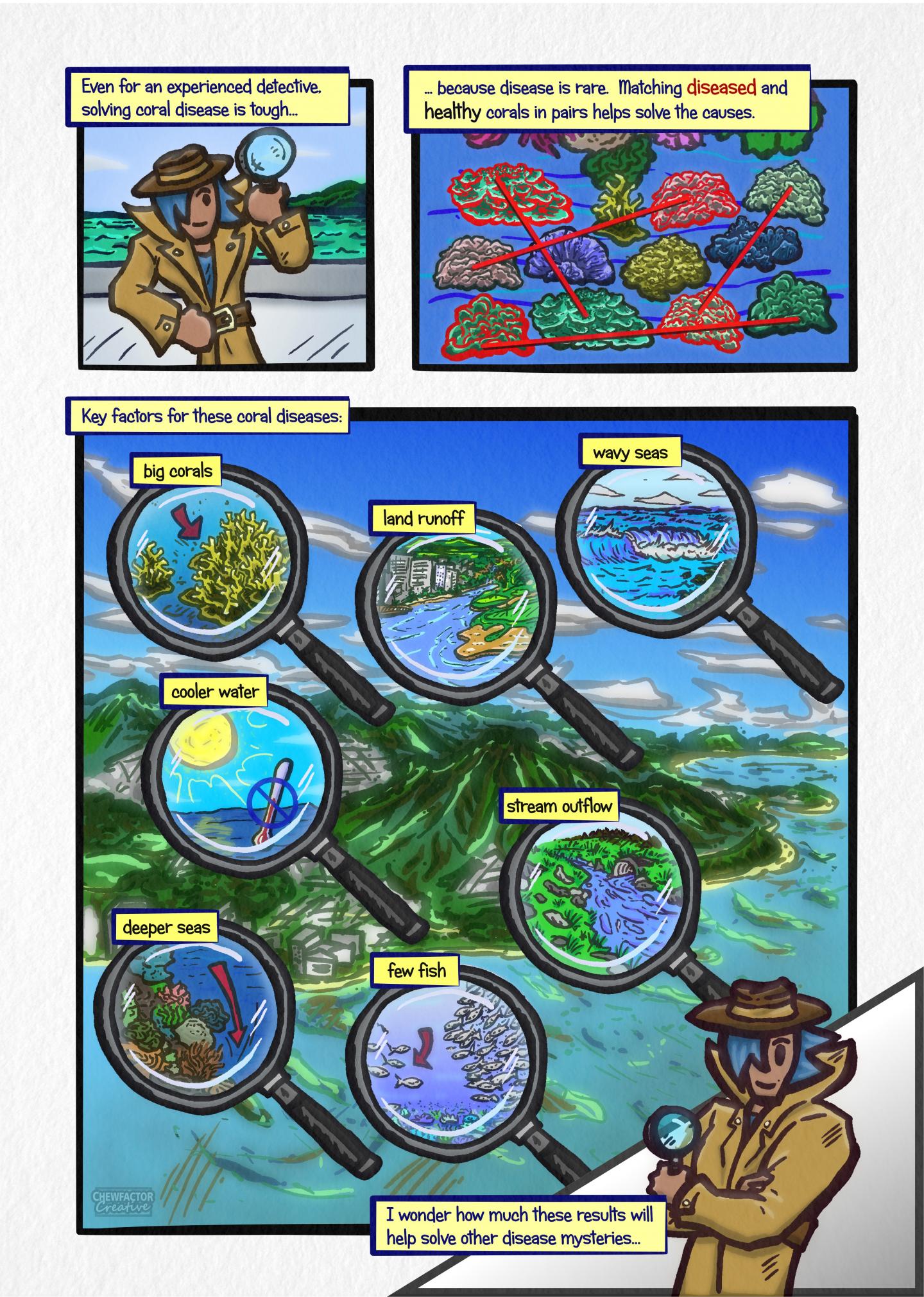 Graphical Summary of the Study