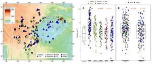 Missing biomass stock: a systematic investigation of understory bryophytes across 413 subtropical forests